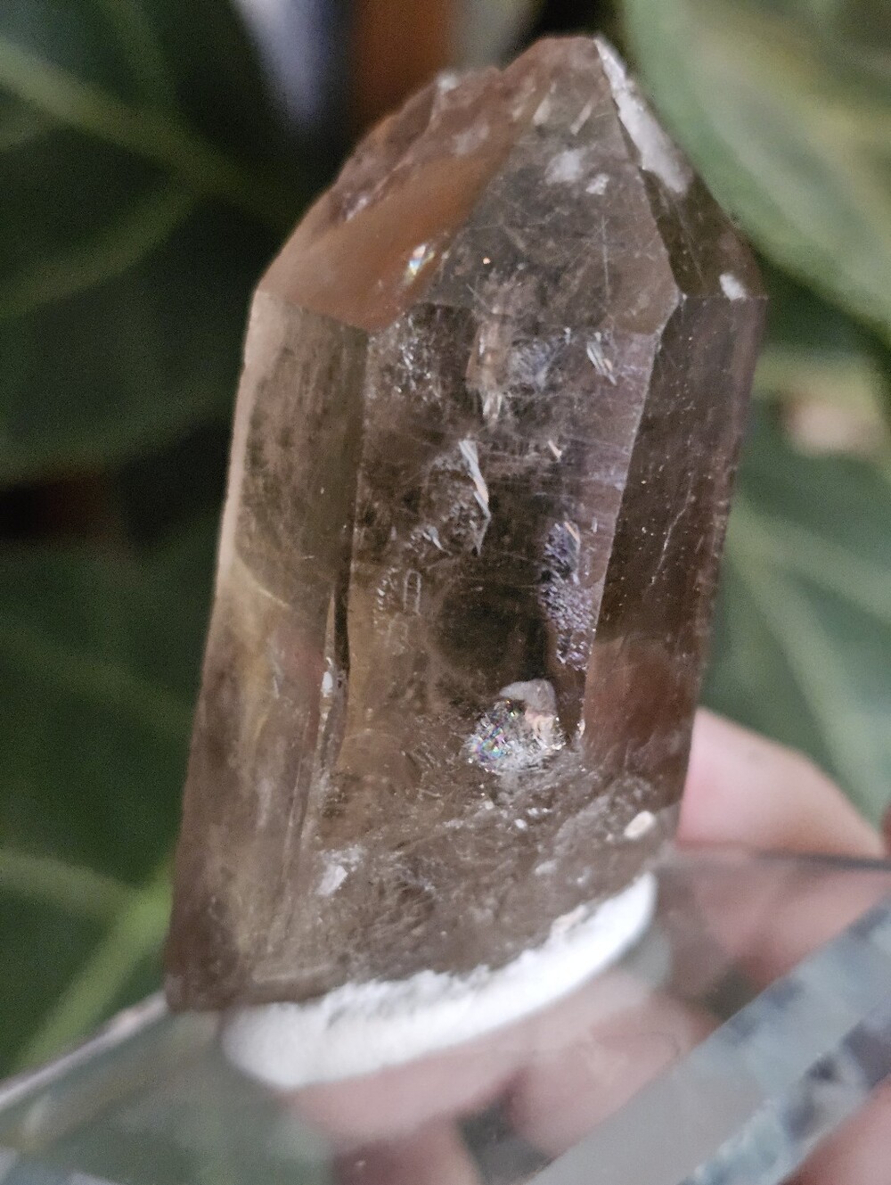 Rutilated Quartz